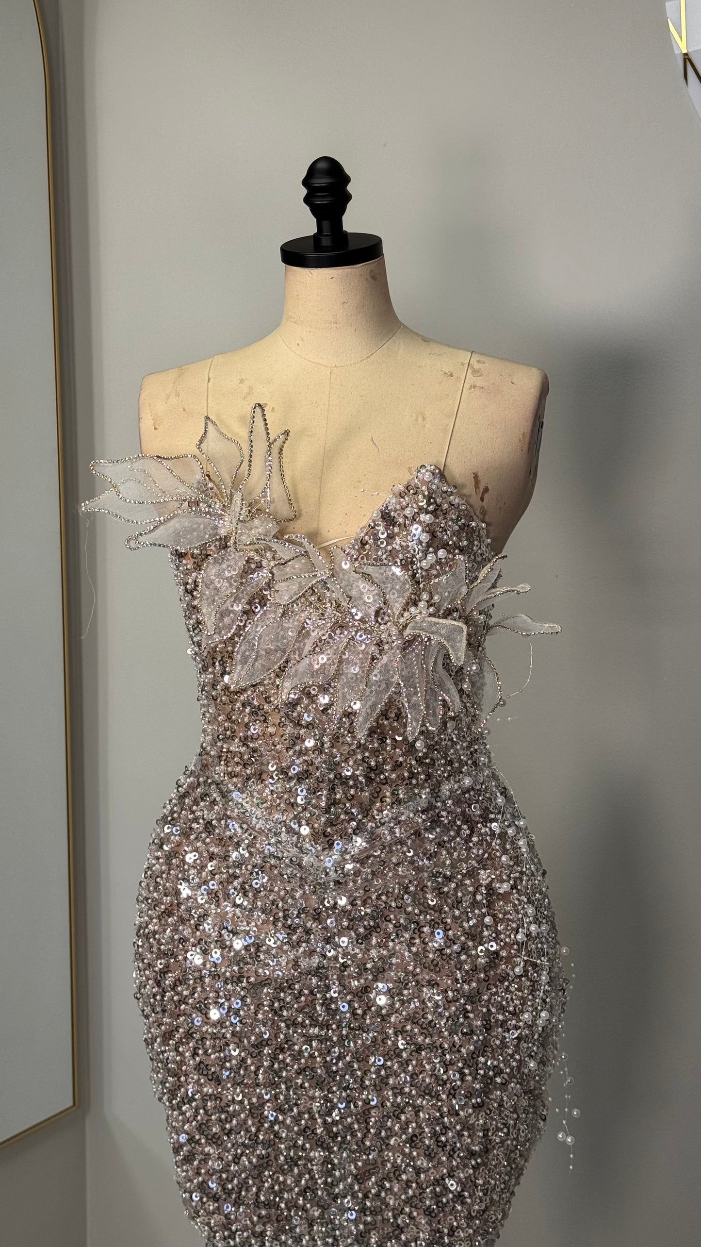 Custom Silver and Diamond Corset Dress